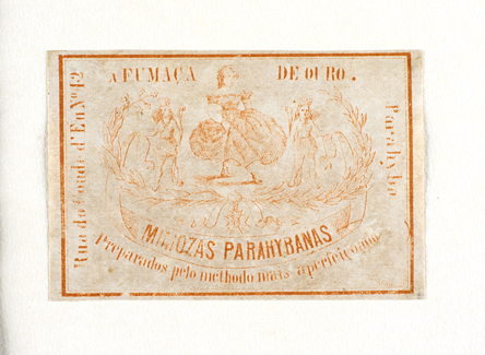 vizualizar o documento on line